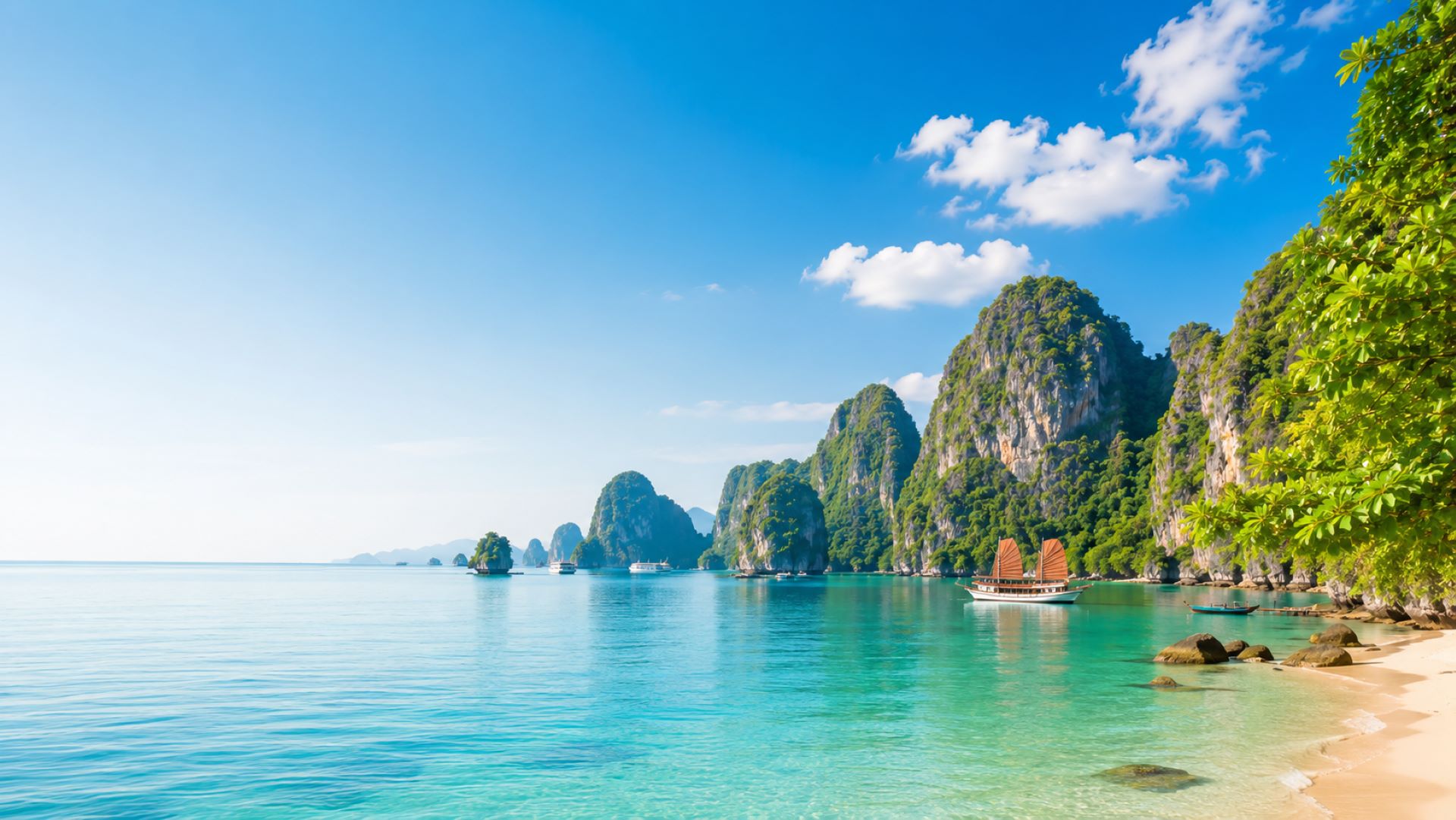 Dịch vụ chất lượng cao